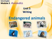 《Writing 'write a fact file about an endangered animal'》优质课PPT课件下载八年级下册初中英语