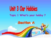 科普版《Section B》公开课PPT课件初中英语