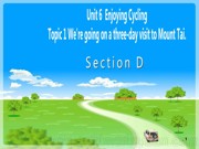 八年级下册科普版《Section D》优质课课件