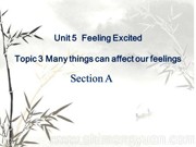 《Section A》优秀PPT课件下载科普版初中英语