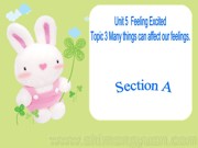 八年级下册《Section A》优质课课件下载科普版