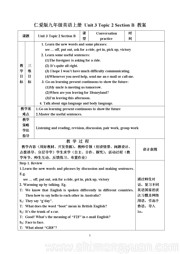 《Section B》教学设计模板科普版九年级上册初中英语