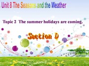 初中英语科普版《Section D》PPT课件模板