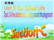 初中英语七年级下册科普版《Section C》优秀课件