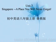 鲁教五四制版《Section B 2a-2e》优秀课件初中英语八年级上册
