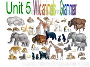 《Grammar: Using may for possibility & using verbs + to-infinitives》优质课课件八年级上册牛津译林版初中英语