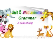 《Grammar: Using may for possibility & using verbs + to-infinitives》课件下载八年级上册初中英语