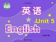牛津译林版《Reading 1: When in Rome》课件模板八年级下册初中英语
