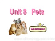 牛津译林版七年级下册初中英语《Grammar: Using adjectives & Indefinite pronouns》课件
