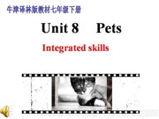 ����Ӣ��ţ�����ְ桶Integrated skills���μ�ģ���������꼶�²�