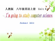 八年级上册《Section A Grammar focus  3a—3c》公开课PPT课件下载人教版