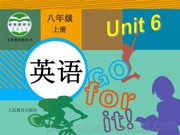 初中英语八年级上册人教版《Section A Grammar focus  3a—3c》课件模板下载