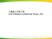 初中英语《Section A Grammar focus 4a—4c》优秀PPT课件八年级下册