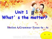 《Section A Grammar focus 4a—4c》优秀PPT课件初中英语人教版
