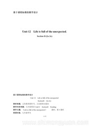 九年级全一册《Section B 2a—2e》公开课教案人教版