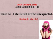 人教版九年级全一册《Section B 2a—2e》PPT课件模板初中英语