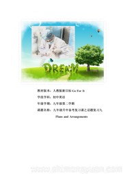 九年级全一册《Section A Grammar focus 4a—4c》优质课教案下载人教版