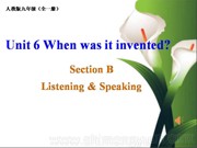初中英语九年级全一册《Section B 1a—1e》课件下载人教版
