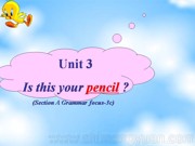 ��Section A Grammar focus 3a��3c����PPT�μ����س���Ӣ���˽̰�