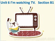 人教版七年级下册《Section B 1a—1e》PPT课件模板下载初中英语