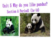 初中英语人教版《Section B 1a—1d》优质课PPT课件