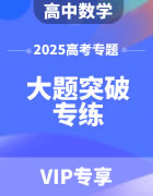 2025年高考数学大题突破专练（含答案）