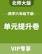 北师大版数学六年级下册：专题知识点归纳+过关检测卷+爬坡衔接题