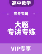 2023年高考数学大题专讲专练