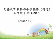 《Lesson 19》优质课PPT课件下载-鹤岗市优课
