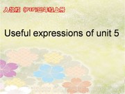 四年级上册《Useful expressions》优质课PPT课件下载-广安市优课
