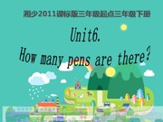 湘少2011课标版三年级起点《Unit 6 How many pens are there？》精品PPT课件下载-揭阳市优质课