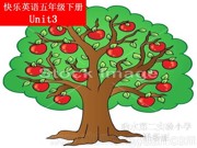 译林2011课标版三年级起点《Checkout time ＆ Ticking time》公开课PPT课件下载-包头市优质课